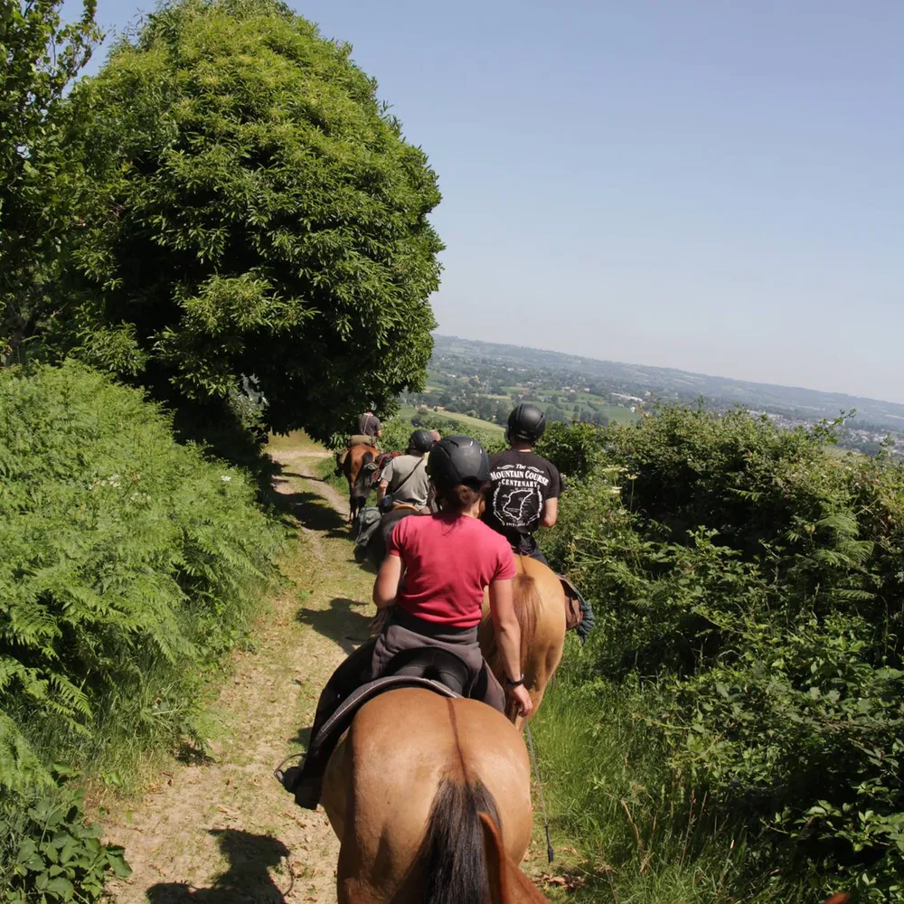 La ferme equestre de Kerbiriou, incite à découvrir le Trégor à cheval.