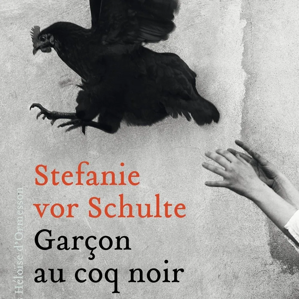 Garçon au coq noir