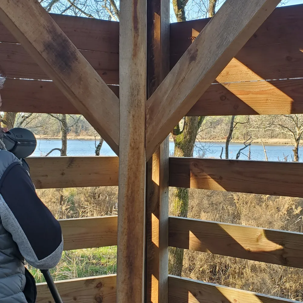 L'étang de Toulvern, voisin du Golfe du Morbihan, un espace en mutation