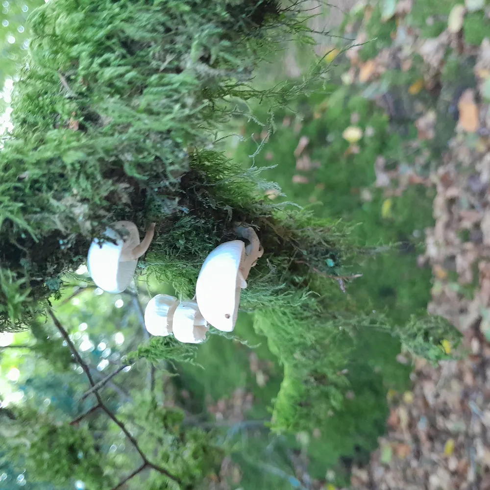 Les gens - 14 octobre 2024