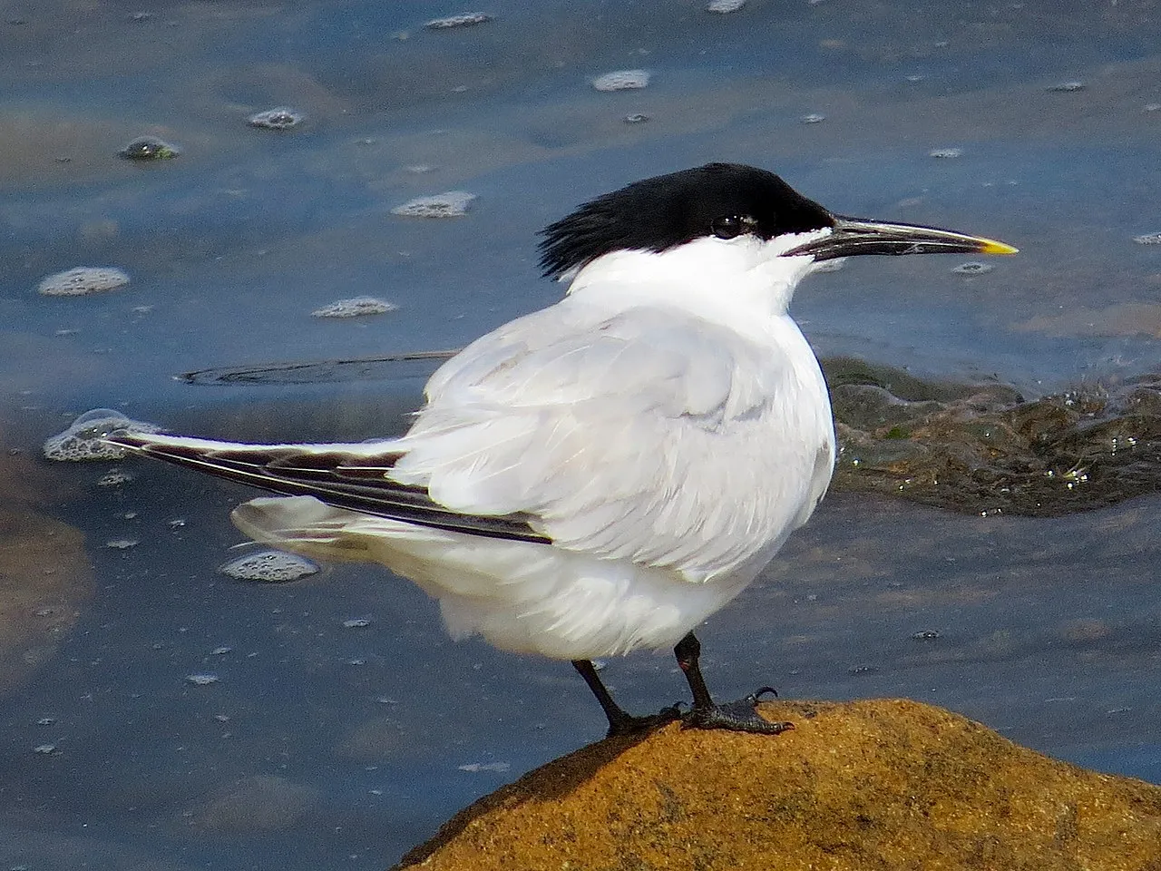 C'hwezh an Deiz 06/10/2022