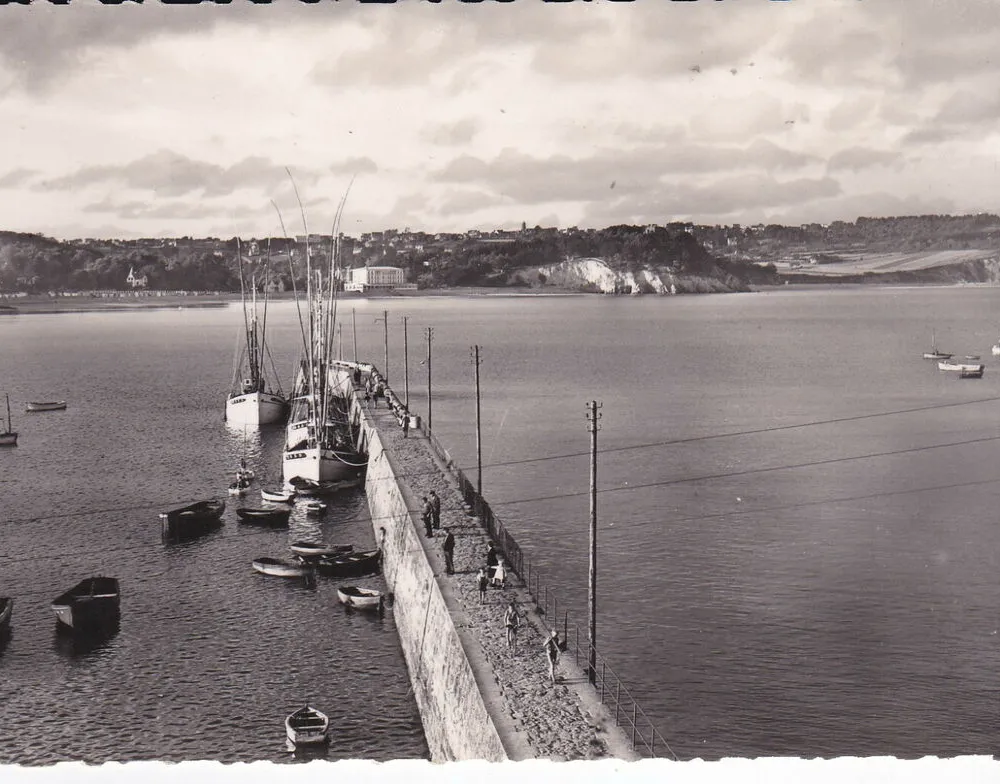 Pêche aux thons et pêche aux coquillages à Morgat