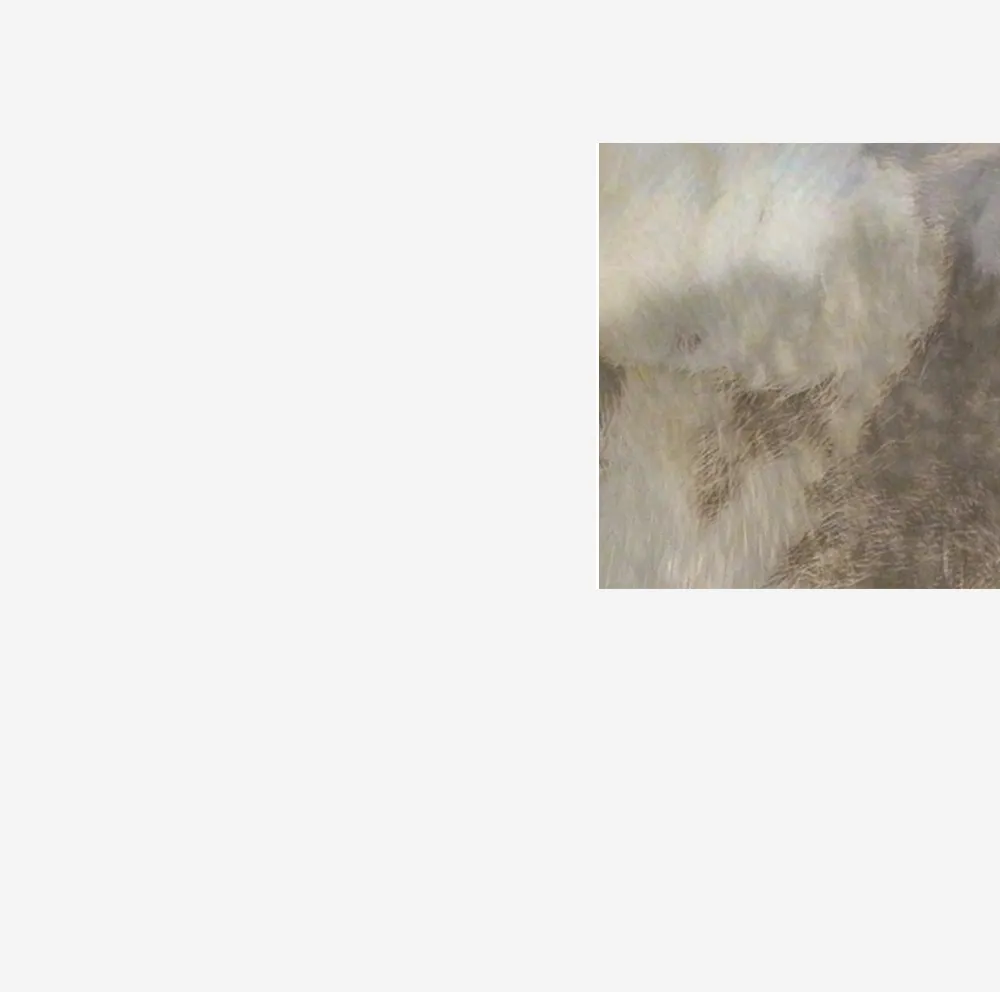 In Vacuum Noctis # 17