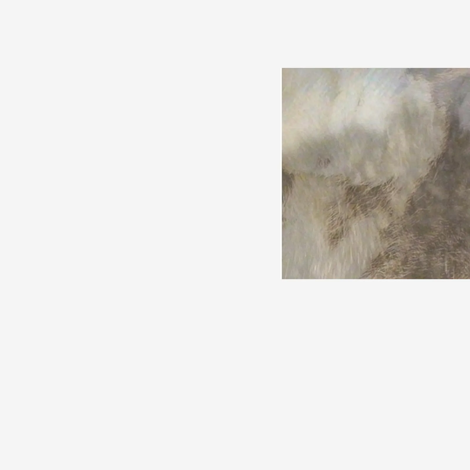 In Vacuum Noctis # 17