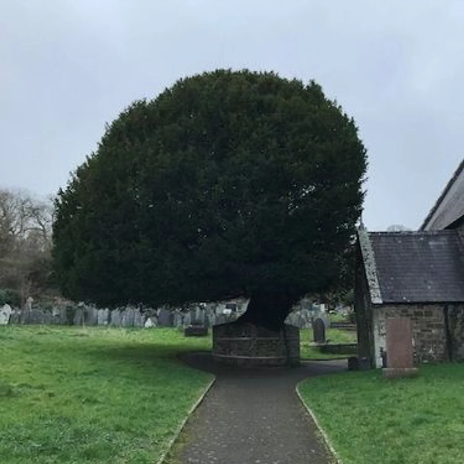 "Pourquoi pas vieilles" et la mort idéale : rencontre avec l'association "Ultime Liberté", partie 1