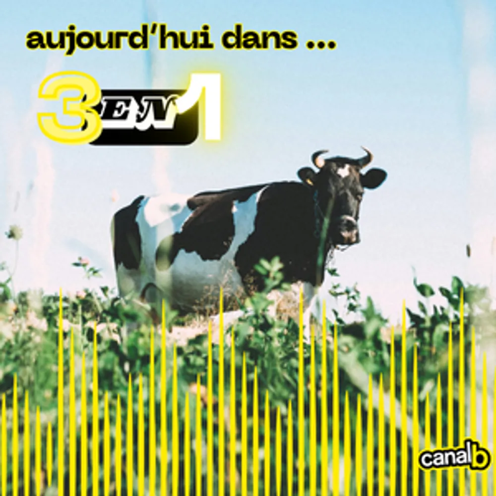Quelle place pour le lait bio dans le territoire agricole breton ? (avec Agrobio35) / Quelles sont les conséquences du durcissement de la loi immigration ? (Chronique CIMADE)