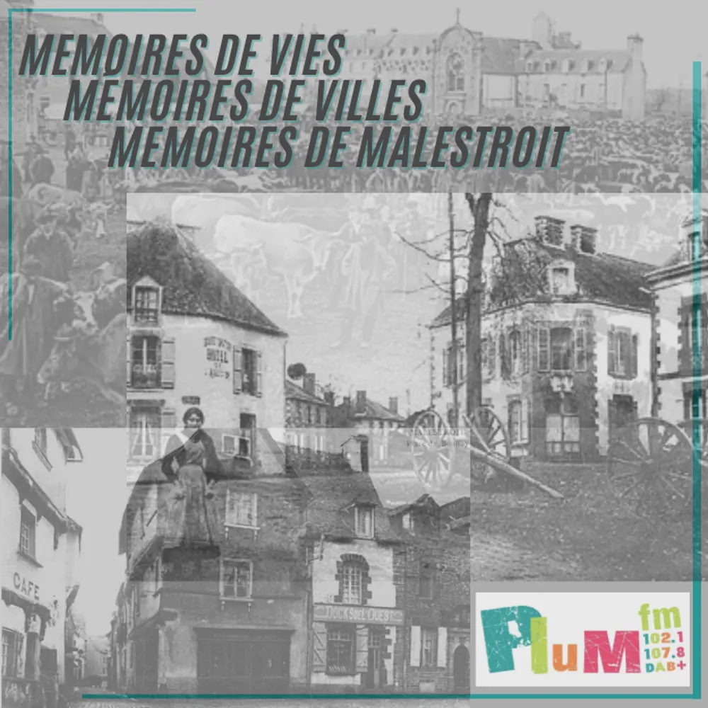 Mémoires de vi(ll)es, Mémoires de Malestroit : la vie active, artisanale et commerçante