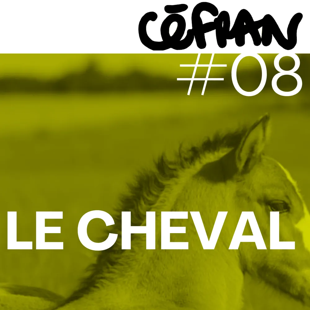 Céfran #8 - Le Cheval