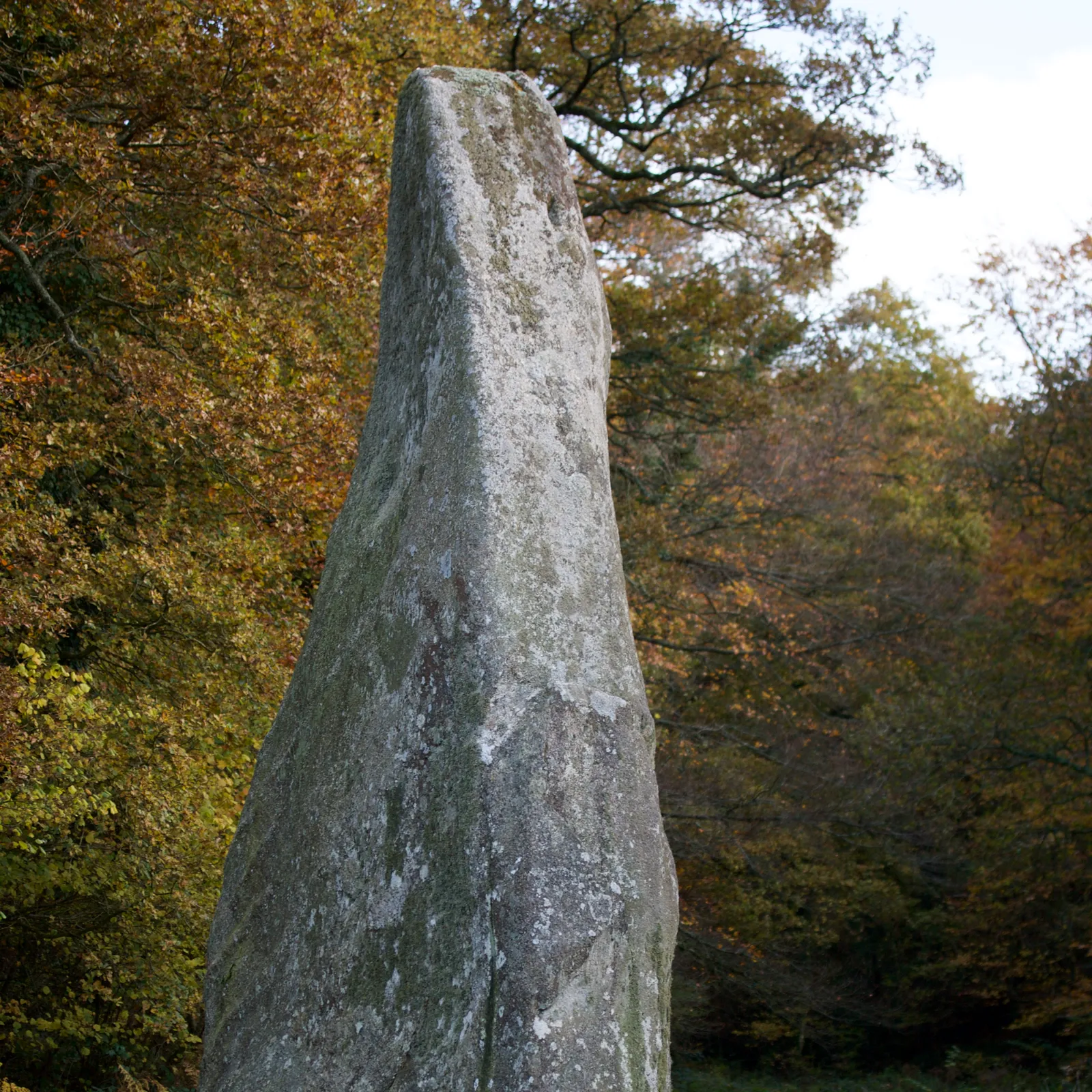 Bagetennoù, peulvanoù ha Google Maps : Robert Nicolas ar jeobiolog 2